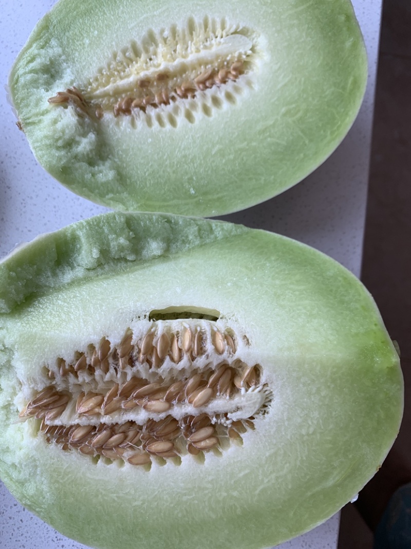 甜瓜玉菇又甜又脆可口好吃