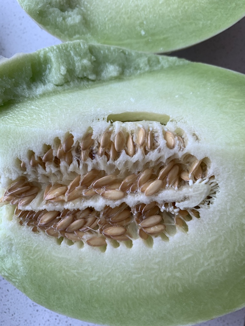 甜瓜玉菇又甜又脆可口好吃