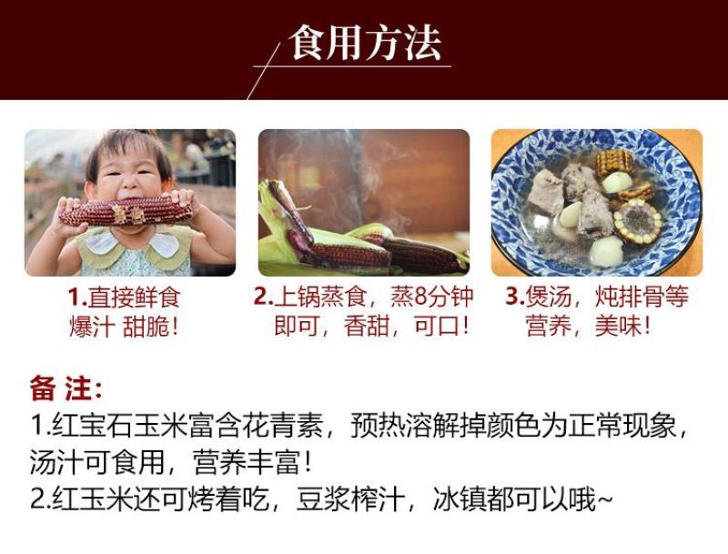 水果玉米红色甜玉米