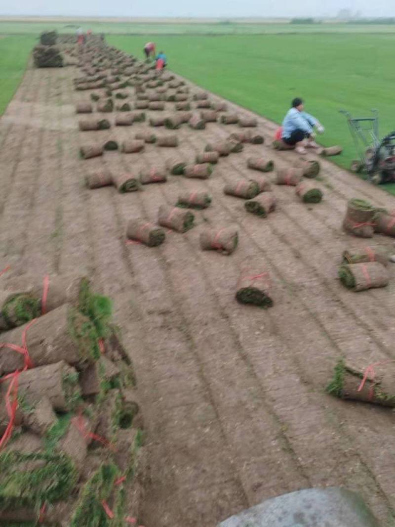 精品百幕大基地直发小区庭院工程绿化欢迎来电咨询