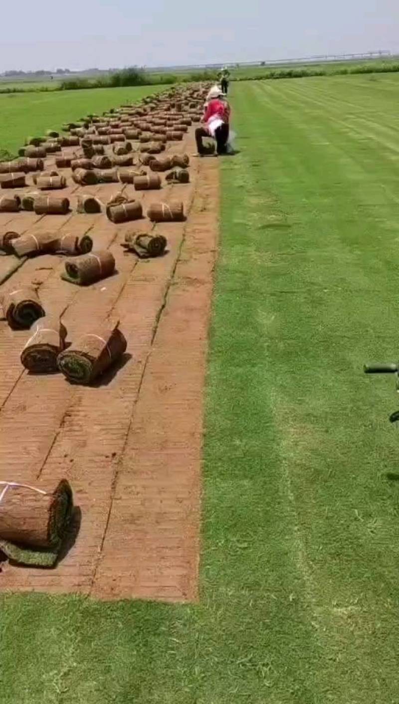精品百幕大基地直发小区庭院工程绿化欢迎来电咨询