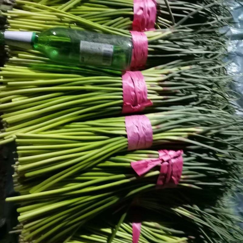 蒜苔