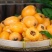 大五星枇杷味甜净重5大果包邮现摘现发野生孕妇枇杷果新