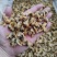 淡干花甲干花蛤干蛤蜊干纯干货原味无沙无杂质