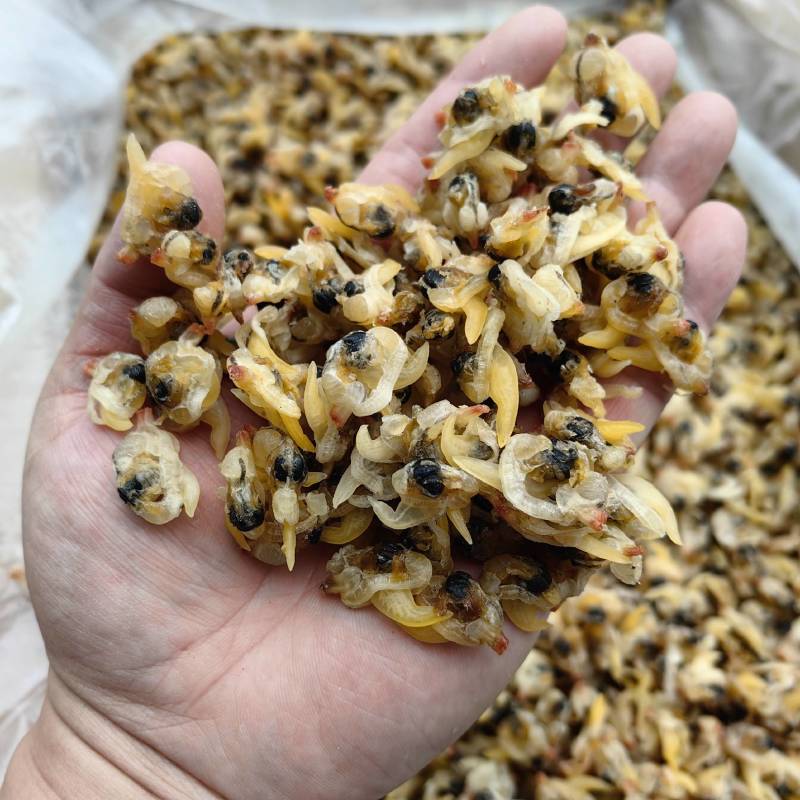 淡干花甲干花蛤干蛤蜊干纯干货原味无沙无杂质