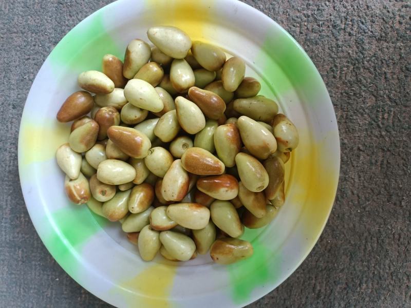 云南金脆蜜枣上市，量大从优，产地直发欢迎联系