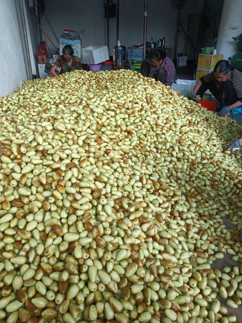 云南金脆蜜枣上市，量大从优，产地直发欢迎联系