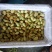 云南金脆蜜枣上市，量大从优，产地直发欢迎联系