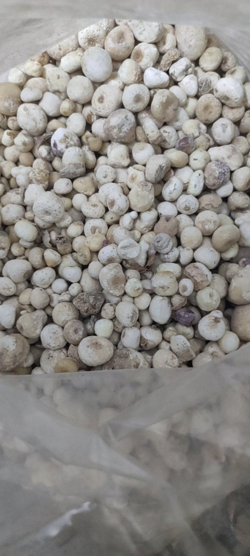 姜夏姜旱半夏干货好片形美观需要的老板下单