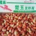 楚玉龙虾尾大量批发全国各地