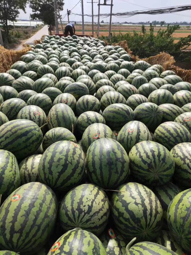 陕西大荔甜王西瓜批发新鲜水果批发优质西瓜一手货源