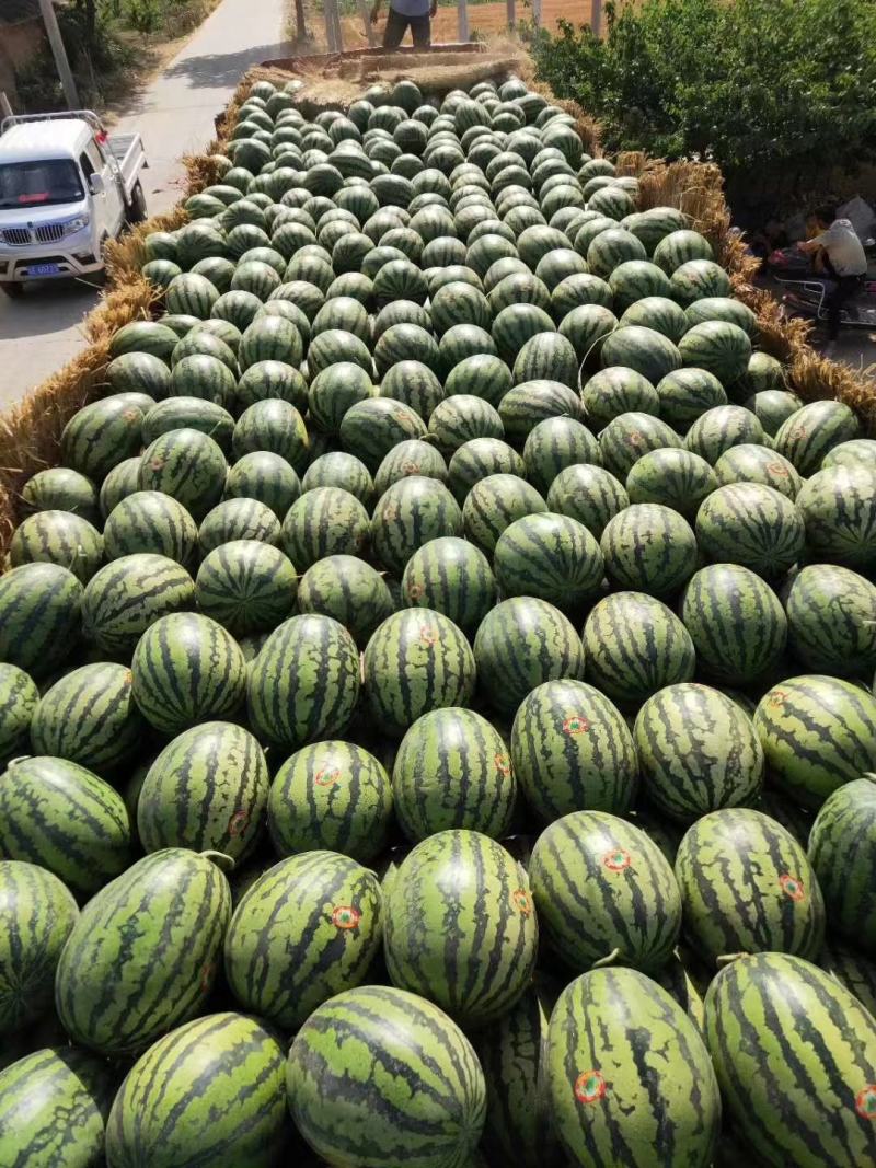 陕西大荔甜王西瓜批发新鲜水果批发优质西瓜一手货源