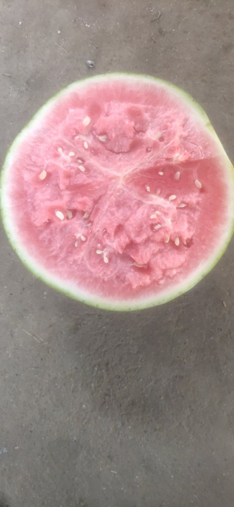 麒麟瓜