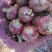 聊城市东昌府区沙镇二红洋葱产地直销有场地已上市速联