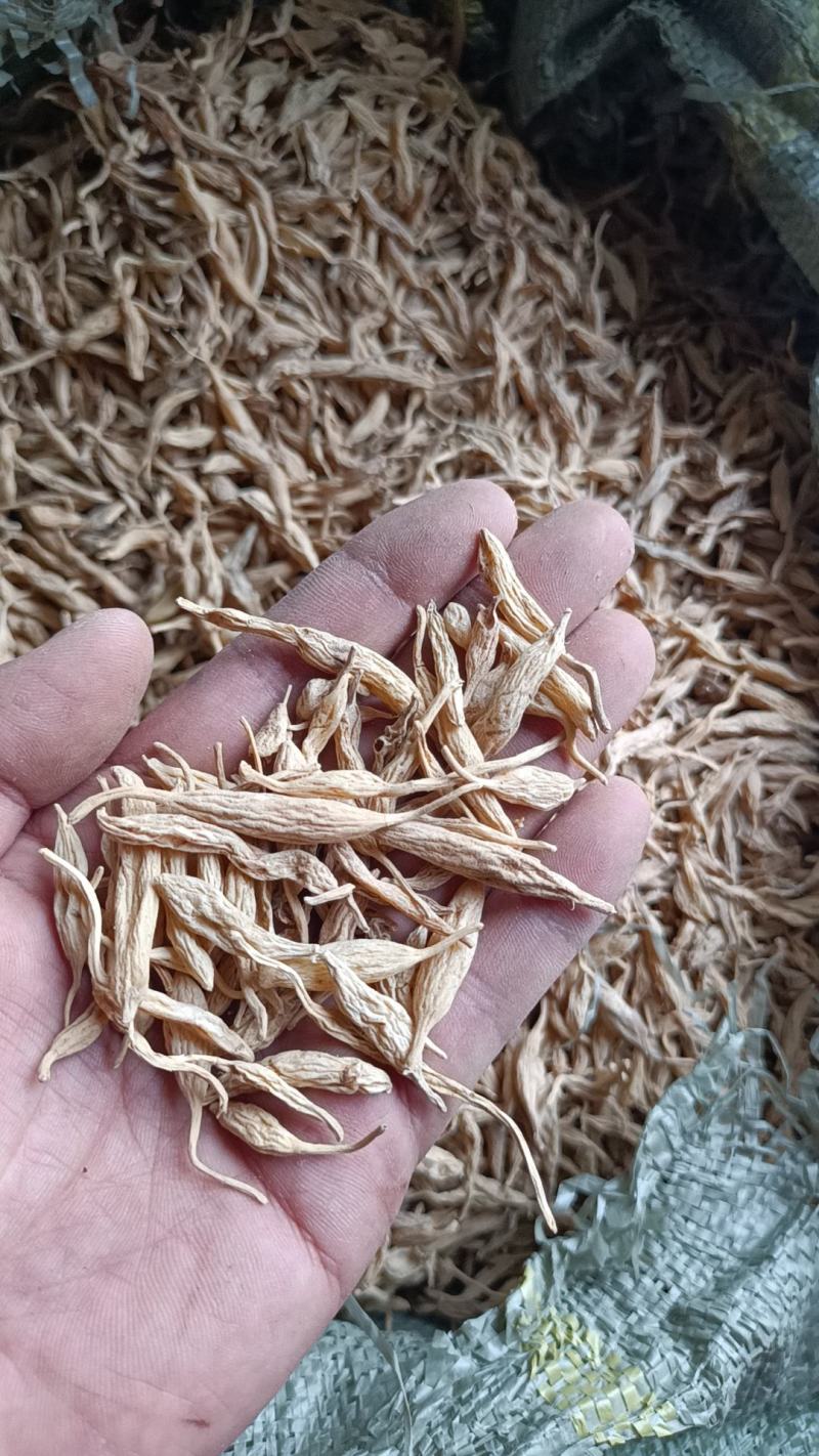 纯野生麦冬，香味浓郁足干无硫，手工挑选黑头杂质，一手货源