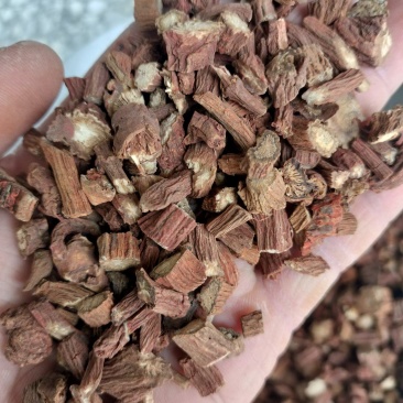 丹参，丹参片，丹参段，产地直销，量大从优
