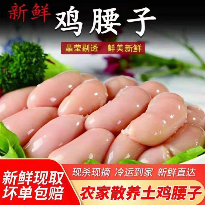 鸡腰子新鲜鸡肾新鲜批发价鸡春子卵子鸡宝卵子大鸡腰含冰