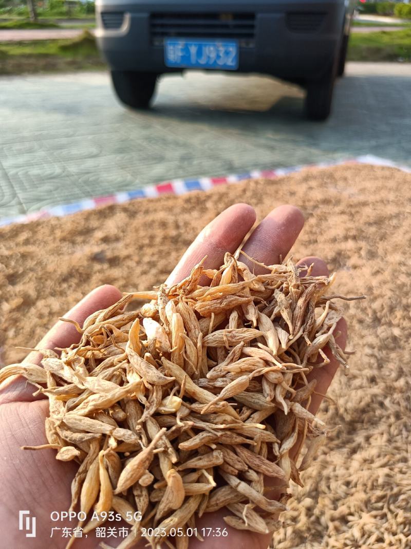 纯野生麦冬，香味浓郁足干无硫，手工挑选黑头杂质，一手货源