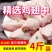 新鲜鸡翅中鸡中翅活杀可乐鸡翅新奥尔良烤翅红烧鸡翅烧烤鸡翅