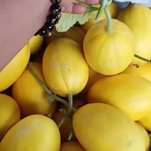 金香玉超甜的