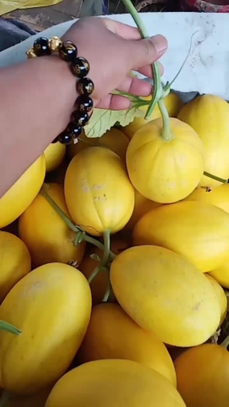 金香玉超甜的