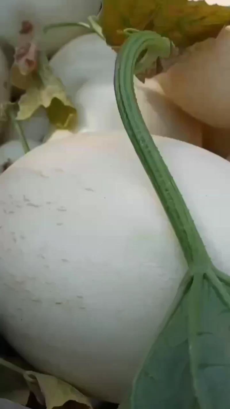 四季银红，脆梨