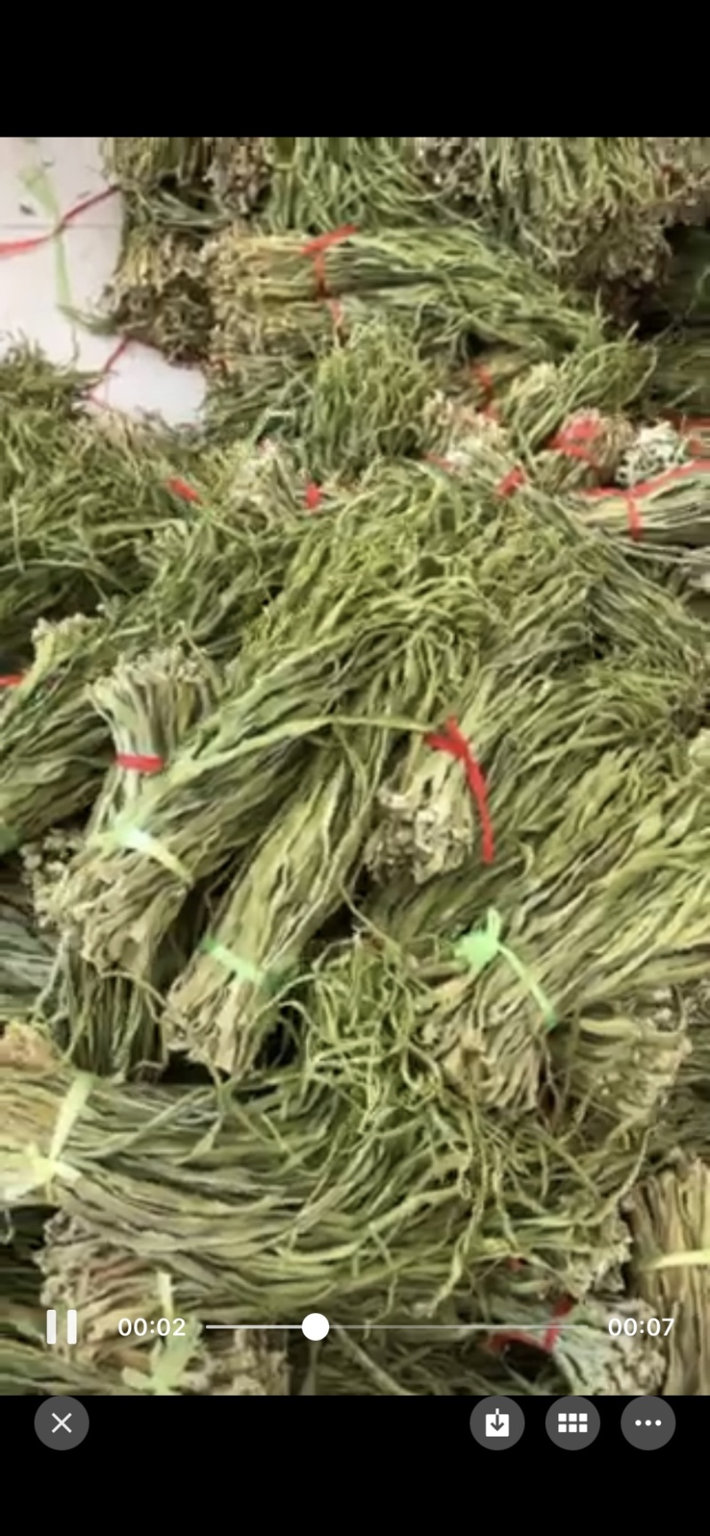 云南好三级菜特价处理