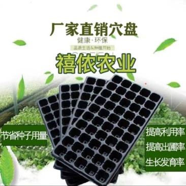 【实力推荐】山东普通穴盘规格齐全质量保证欢迎咨询
