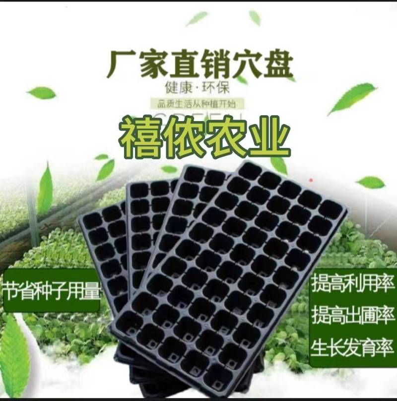 【实力推荐】山东普通穴盘规格齐全质量保证欢迎咨询