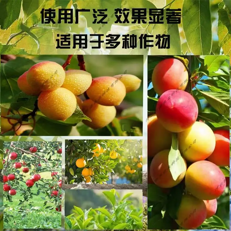 微生物菌肥