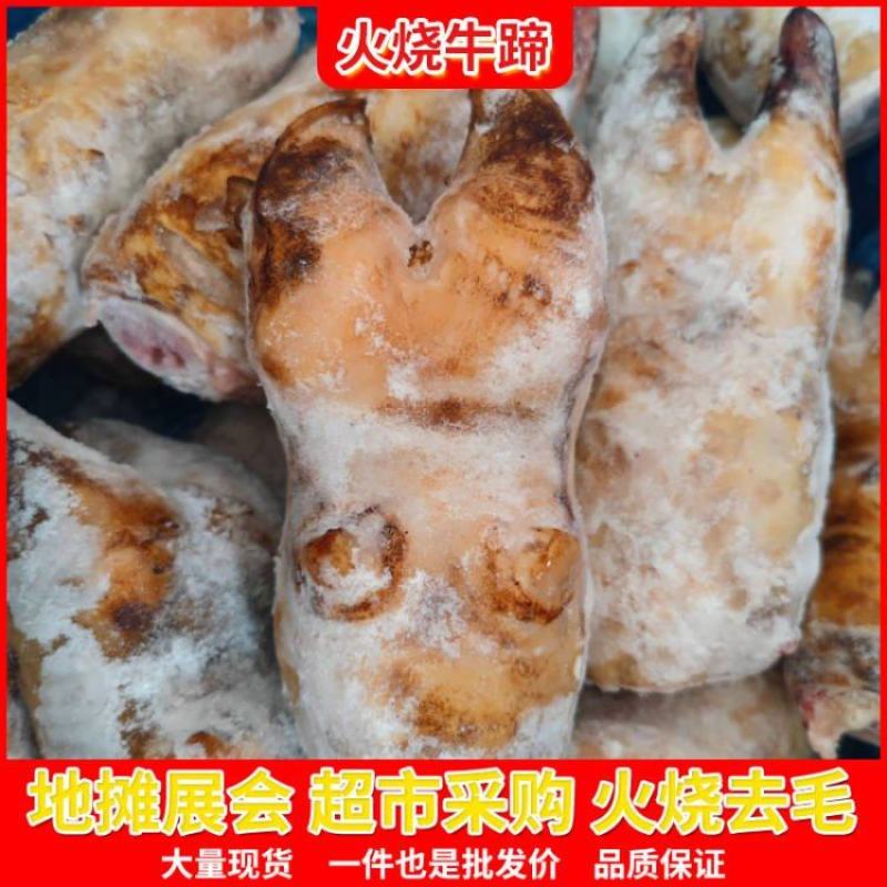 火烧牛蹄整只带骨现货供应餐饮商用跑江地摊展会批发