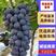 【热卖推荐】葡萄，精品夏黑葡萄，新沂市葡萄，价格优惠