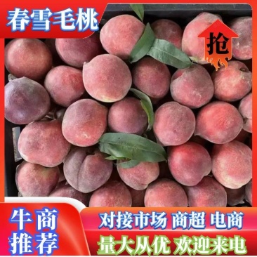 毛桃大量上市供应商超市场电商欢迎咨询抢购