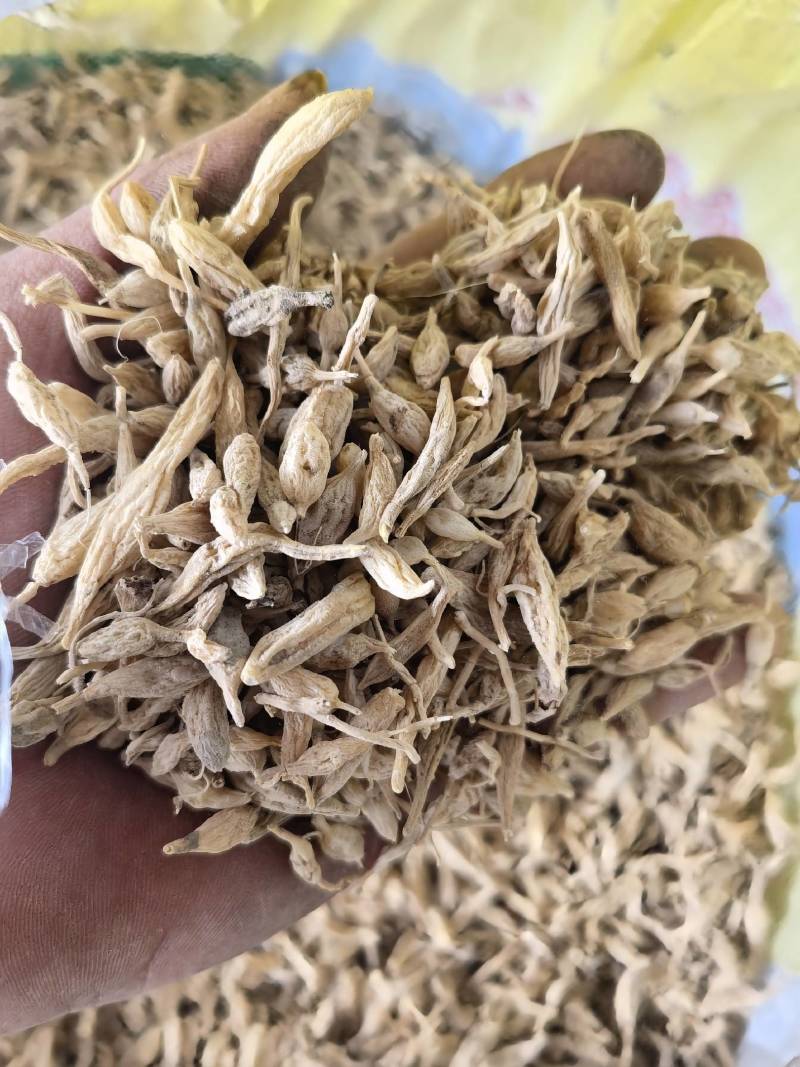 野生麦冬，贵州遵义一手货源，量大从优，欢迎来电