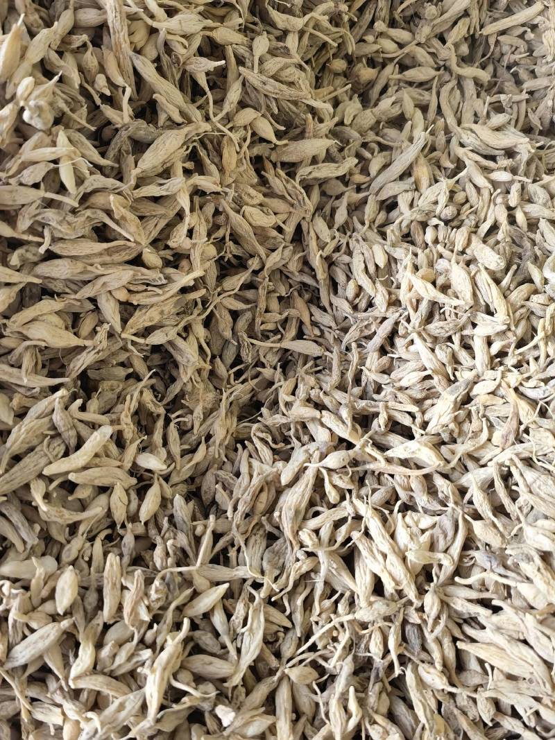 野生麦冬，贵州遵义一手货源，量大从优，欢迎来电