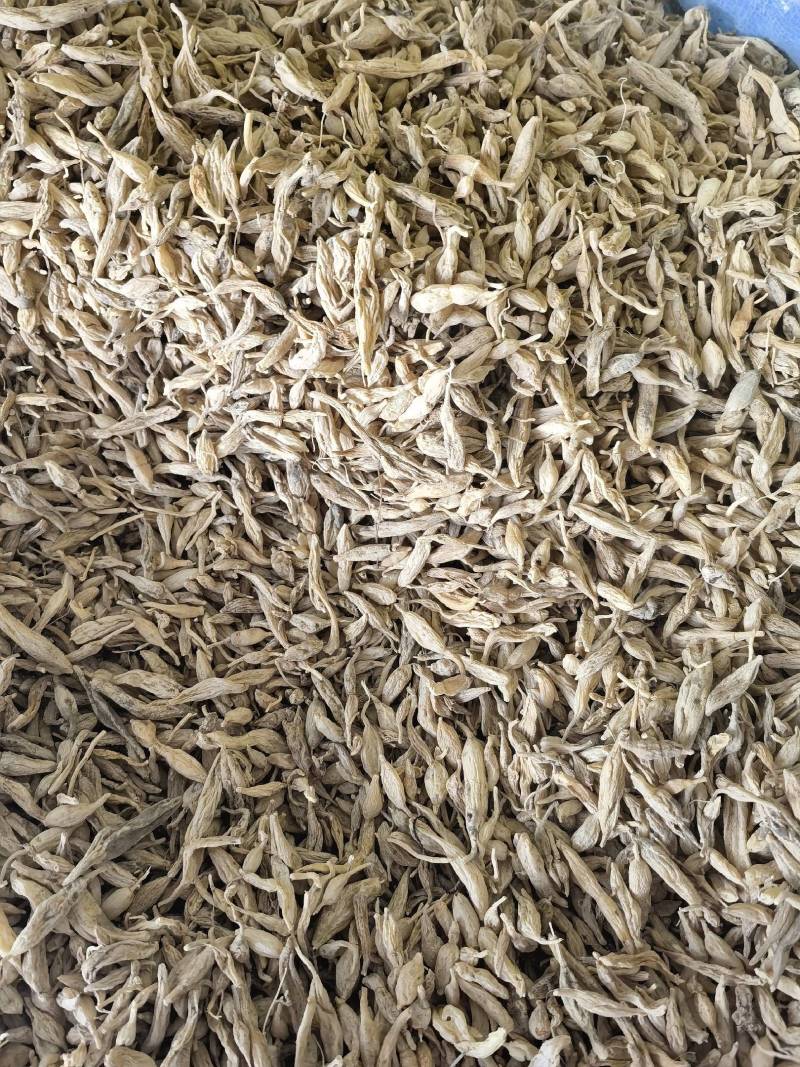 野生麦冬，贵州遵义一手货源，量大从优，欢迎来电