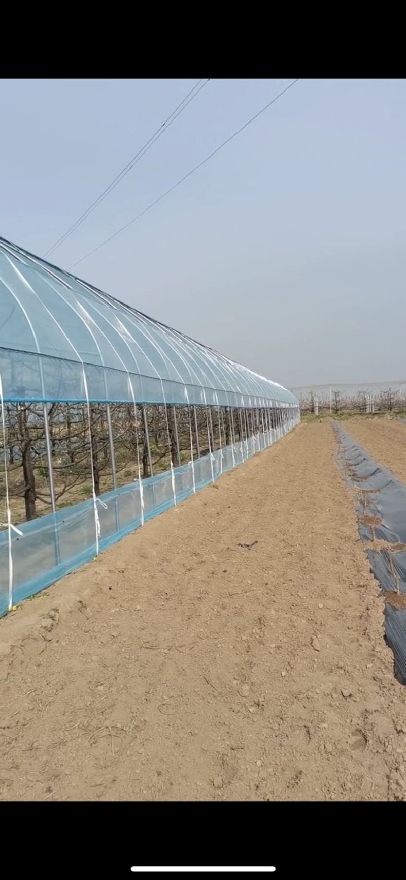 温室养殖大棚养牛棚养羊大棚全国发货包建
