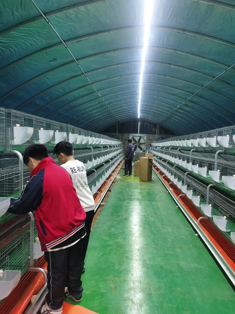 温室养殖大棚养牛棚养羊大棚全国发货包建