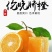 伦晚脐橙秭归脐橙个大味甜皮薄汁多色泽鲜亮口感好