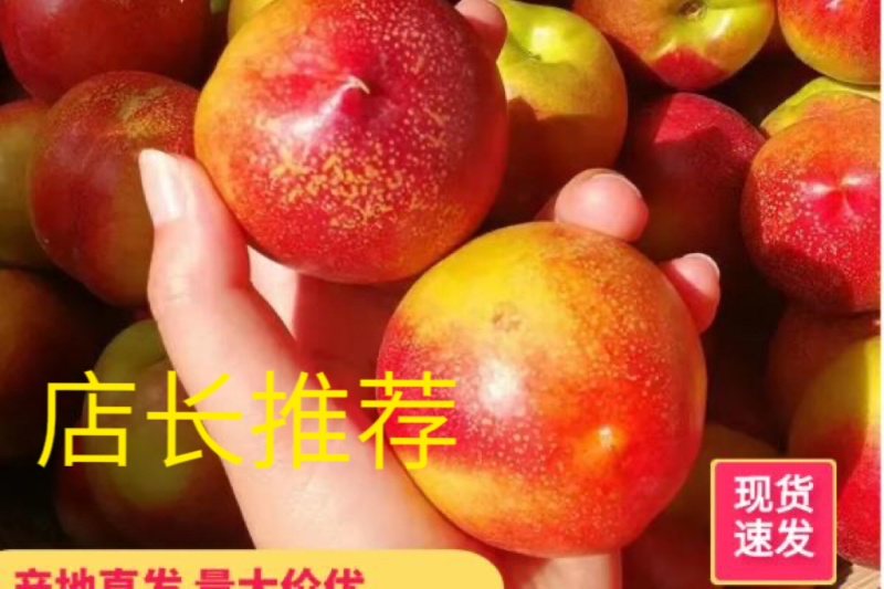 中油18号，可果园看货，地头供货全国发货：现货