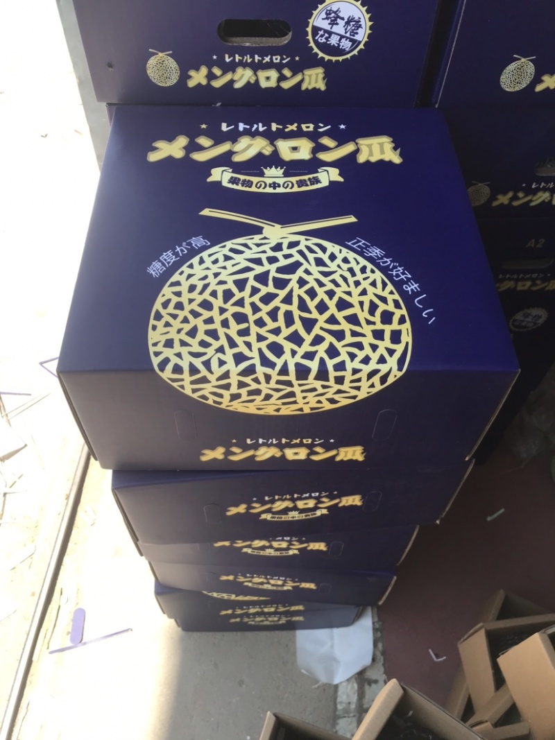 山东甜瓜美华玫珑网纹甜瓜鲁厚甜种植产地麻纹好看棚定货
