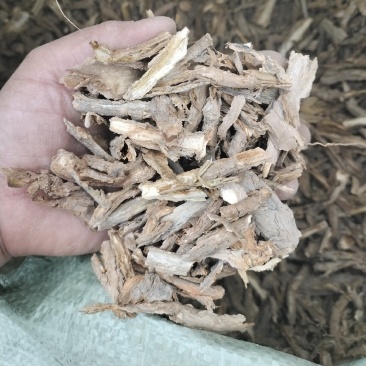 野生地骨皮