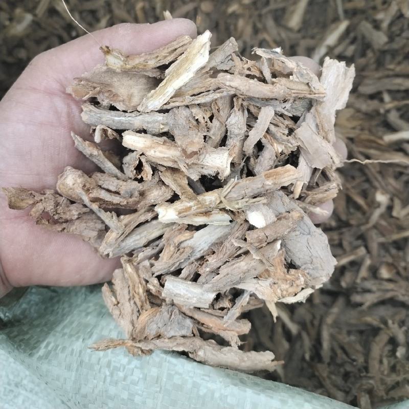 野生地骨皮