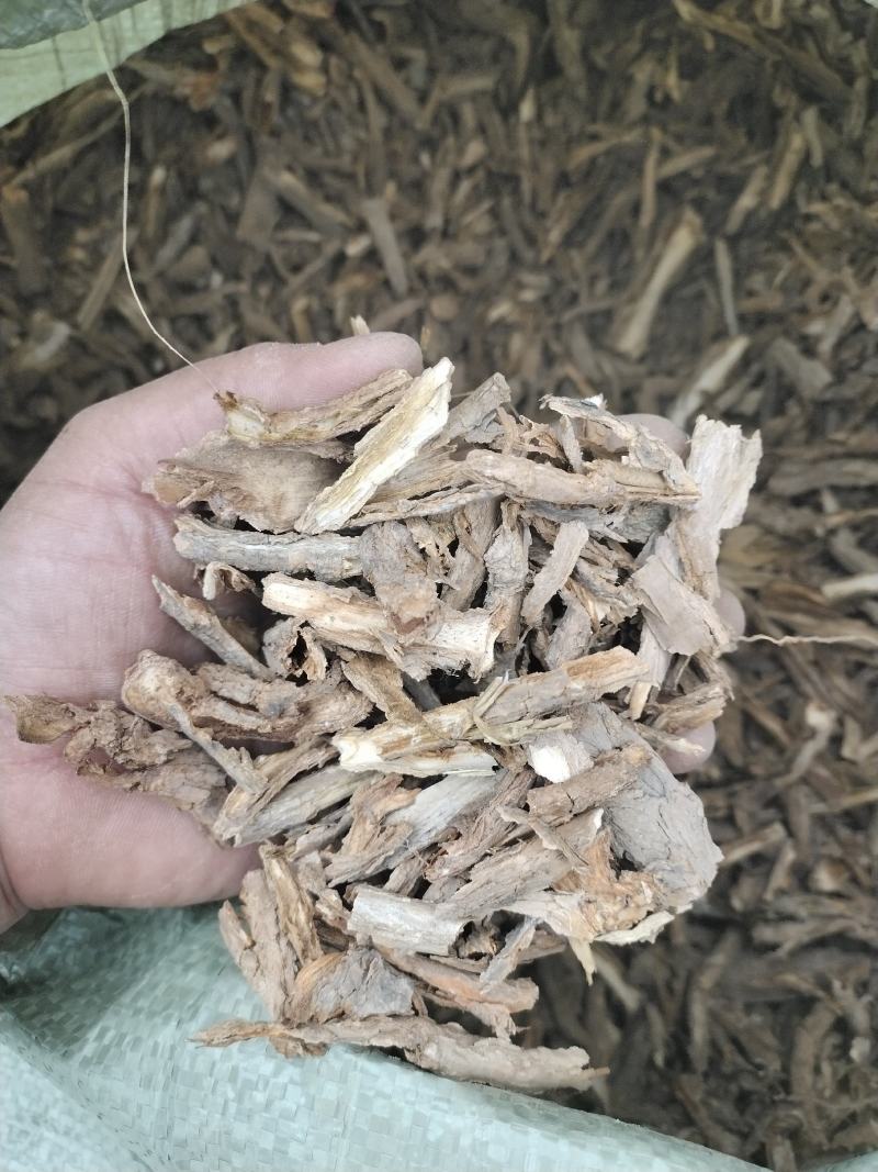 野生地骨皮