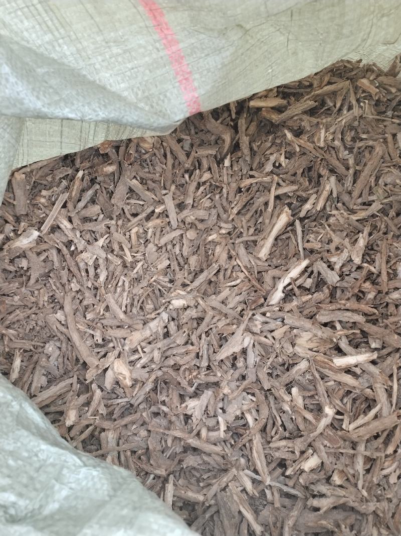 野生地骨皮