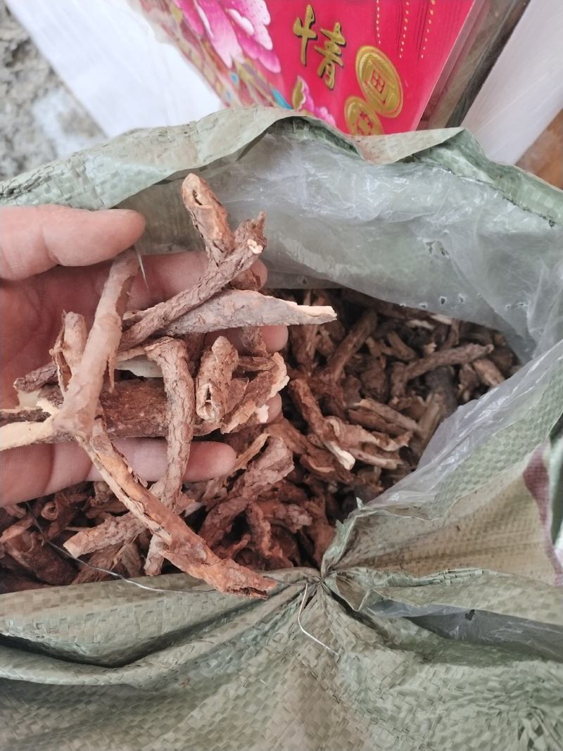 五加皮