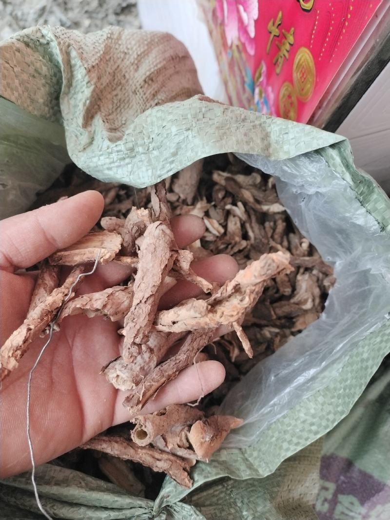 五加皮
