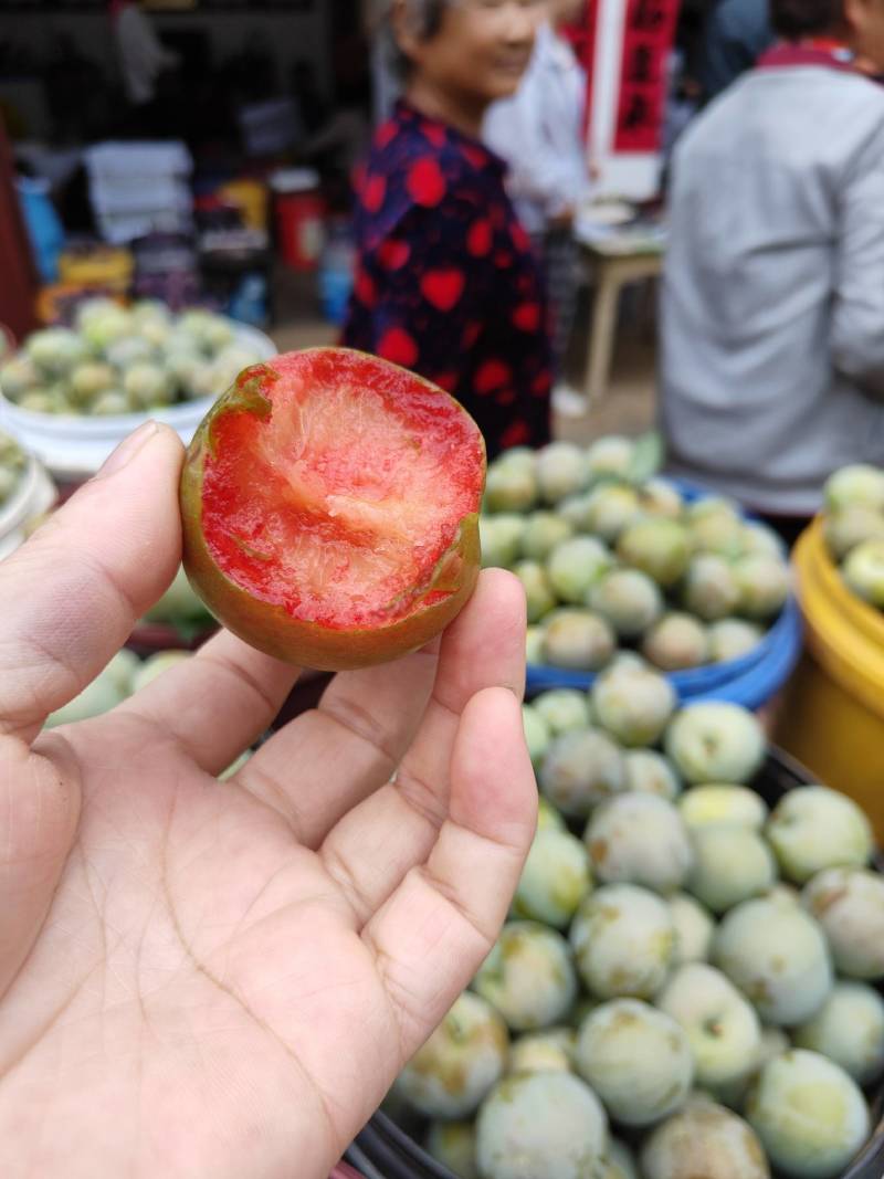 味帝李子