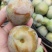 味帝李子