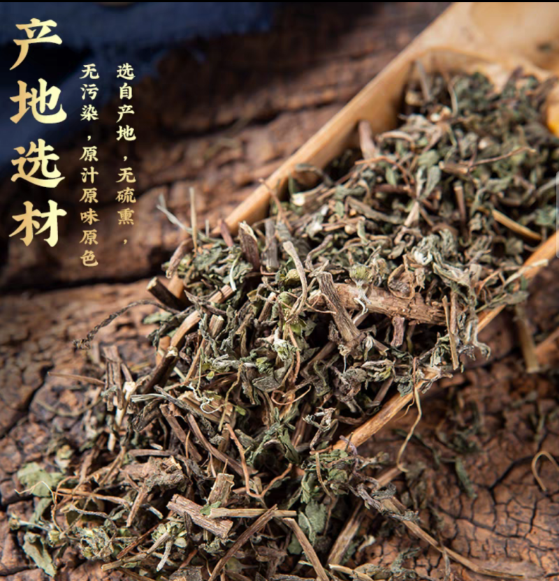 旱莲草中草药中药材